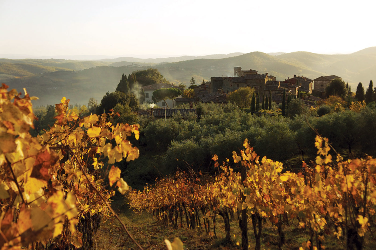 Castello di Volpaia ©Castello di Volpaia/Wilson Daniels