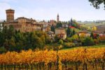 The castle of Levizzano and its village is situated in the heart of the Lambrusco Grasparossa di Castelvetro DOC.