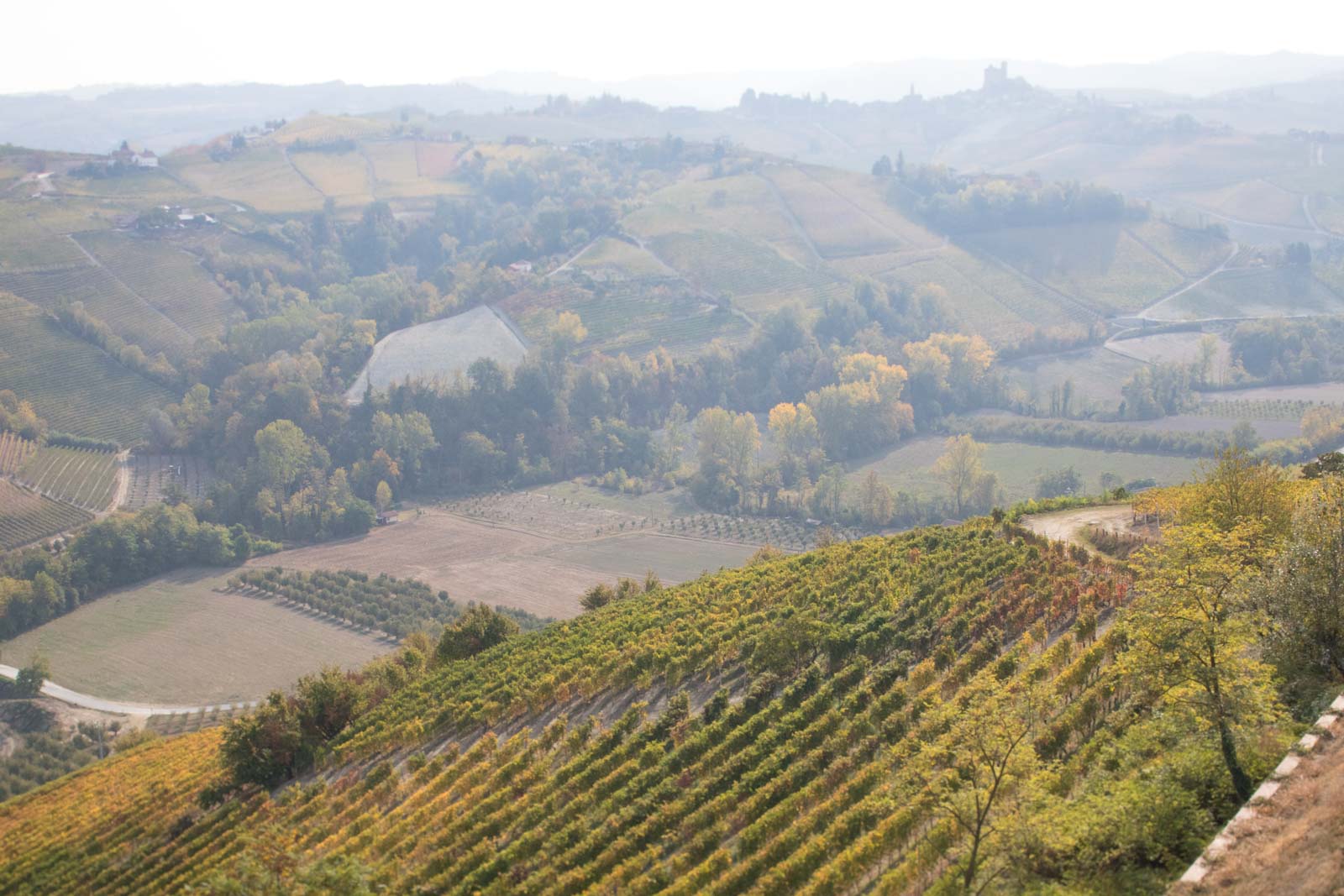 The view toward Serralunga d'Alba from Vietti's terrace atop Castiglione Falletto. The vineyards in the distance produce some of Barolo's sternest and most tannic expressions, and include the Lazzarito vineyard, which is a key holding for Vietti. ©Kevin Day/Opening a Bottle