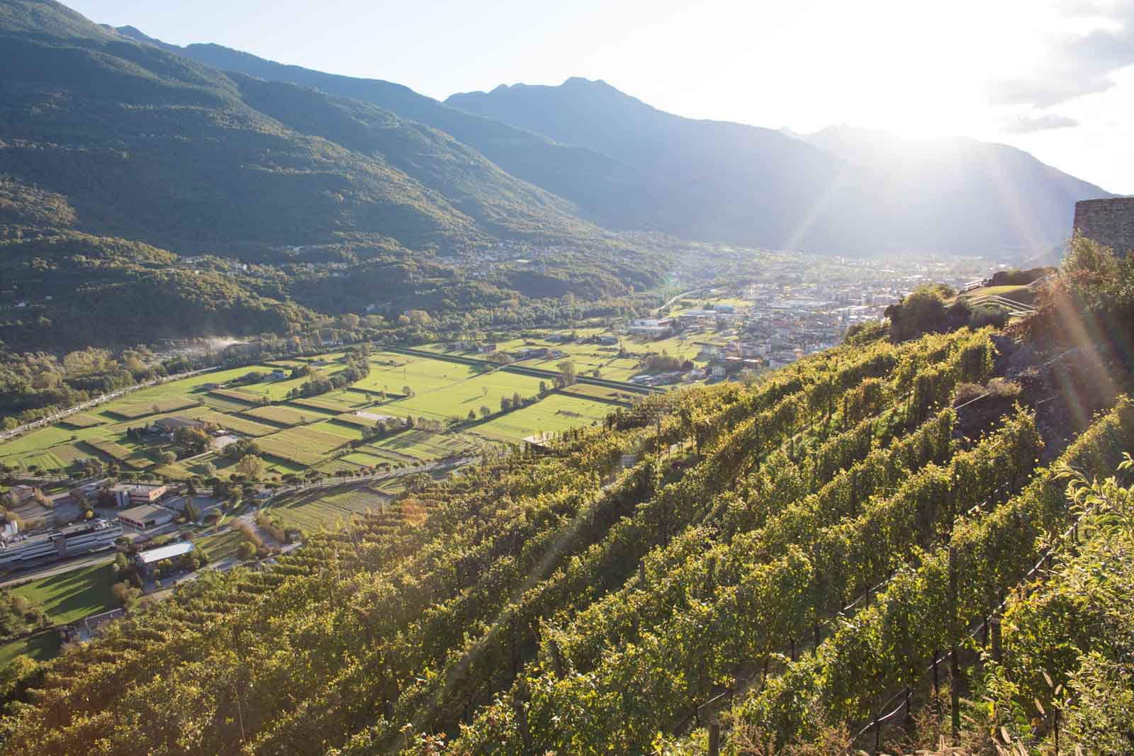 The vineyards of Valtellina. ©Kevin Day/Opening a Bottle