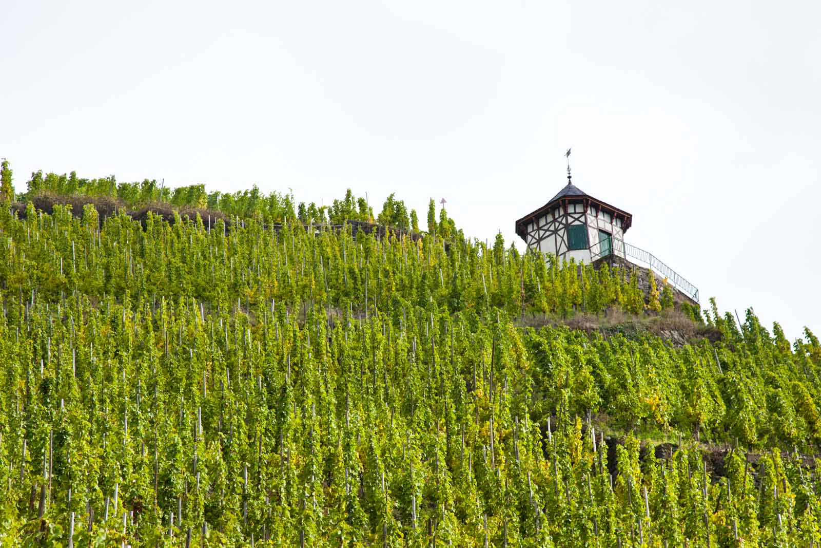 Bernkastel-Keus, Germany. ©Kevin Day/Opening a Bottle