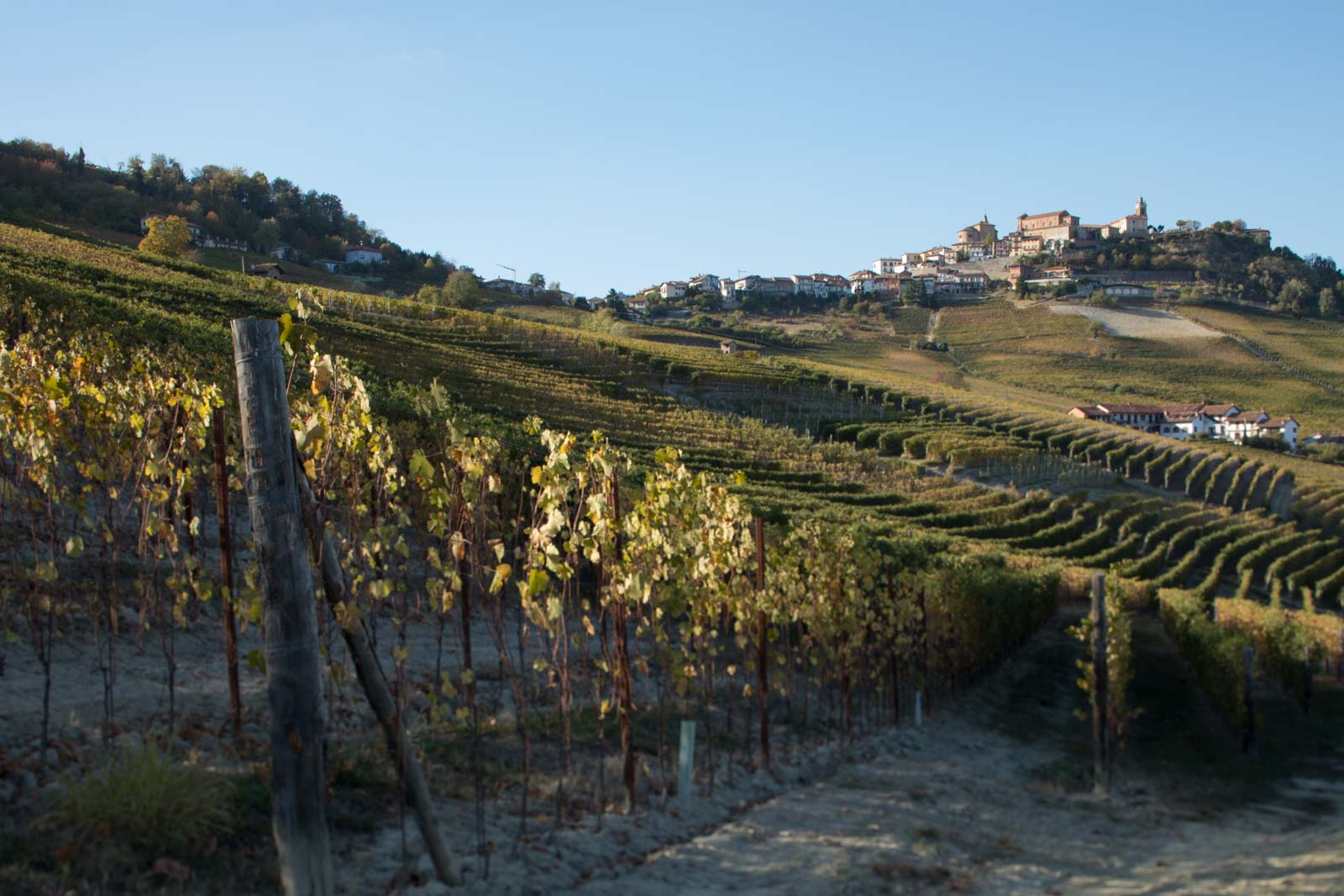 The Boiolo cru of Barolo with the beautiful town of La Morra crowning the hill. ©Kevin Day/Opening a Bottle