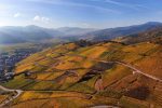 The size and scale of the Grand Cru Brand as seen from the air. ©Wines of Alsace