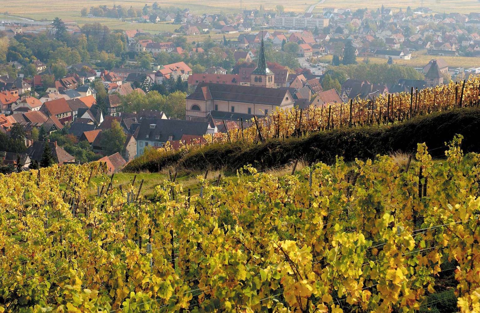 Turckheim ©Wines of Alsace