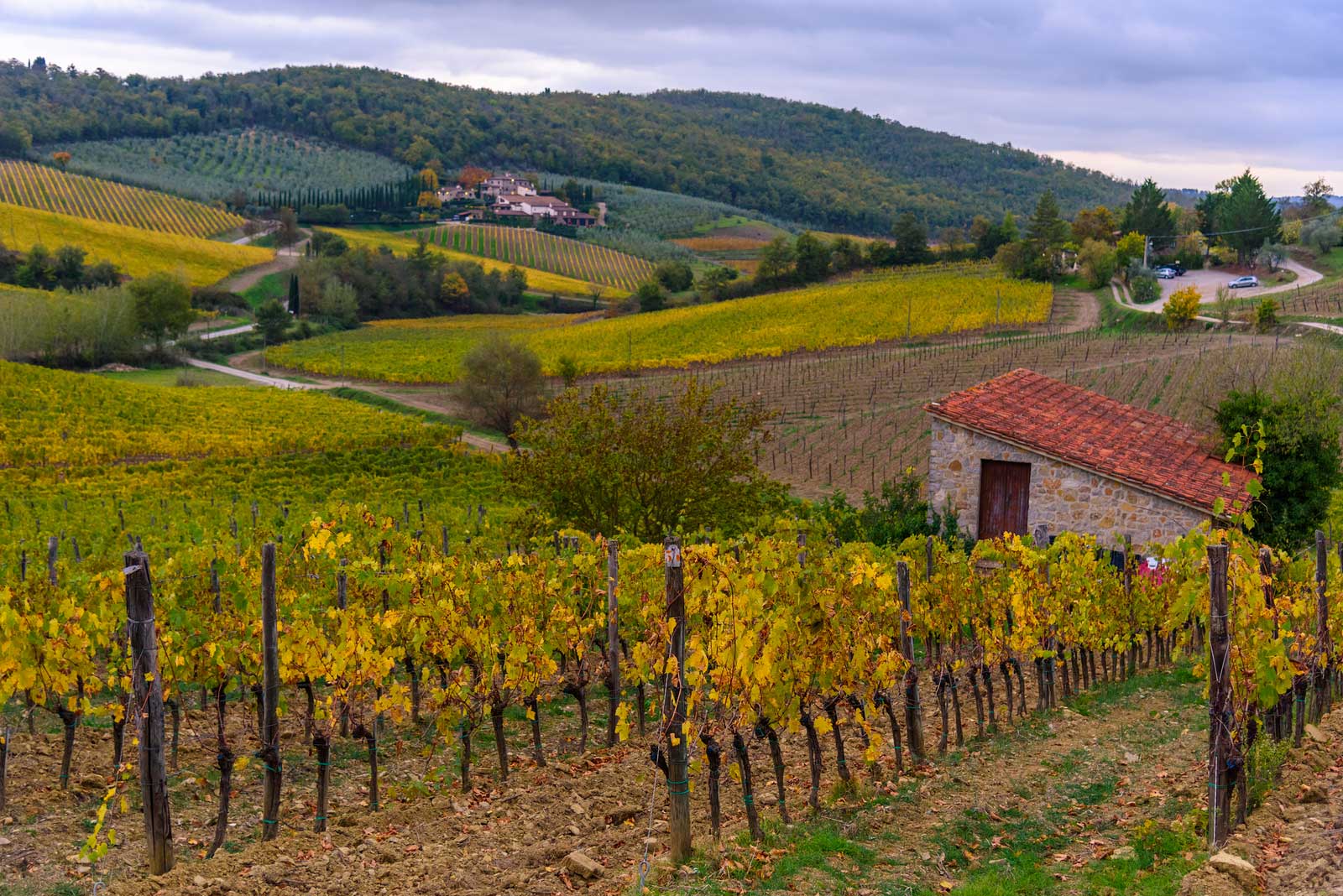 Autumn landscape of Chianti Classico region of Tuscany.