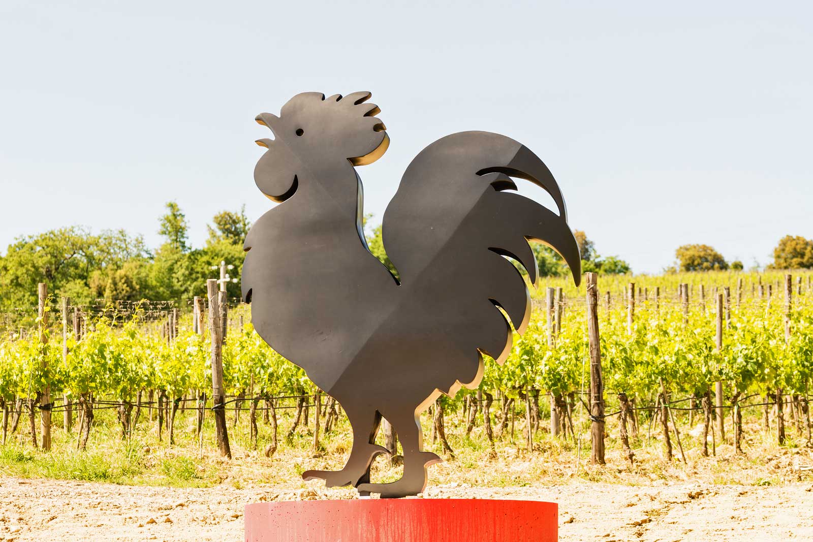 The Black Rooster is the symbol of Chianti Classico.