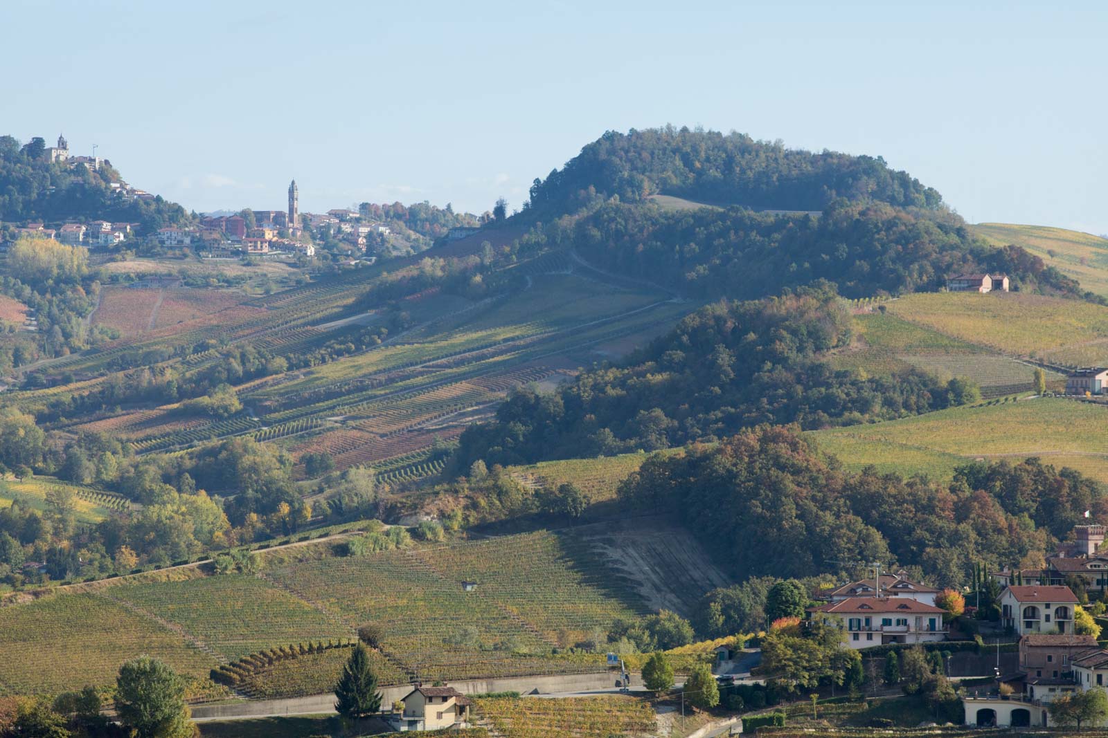 A view of Monforte d'Alba, tucked away above the Bussia vineyard, as seen from near La Morra. ©Kevin Day/Opening a Bottle