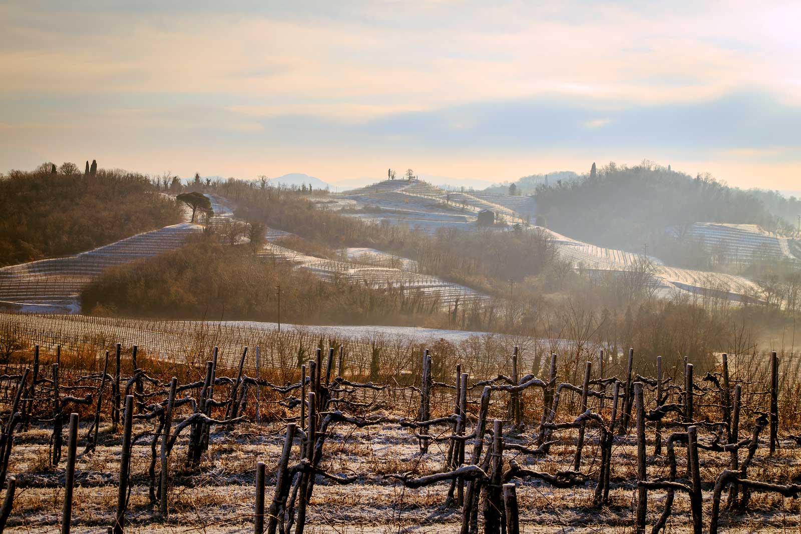 Winter in the Collio DOC offers its own version of magic. 