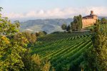 Vineyards in the Langhe Hills where Freisa is grow in small parcels