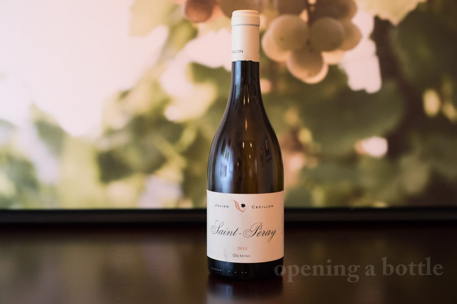 2015 Cave Julien Cecilon "Gemini" Saint-Péray. ©Kevin Day/Opening a Bottle