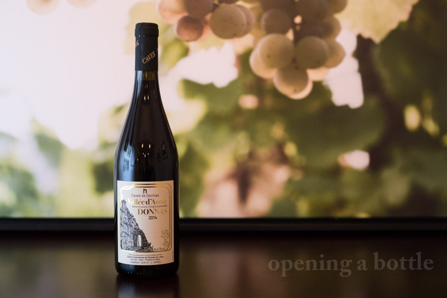 2014 Caves de Donnas Valle d'Aosta Donnas DOC ©Kevin Day/Opening a Bottle