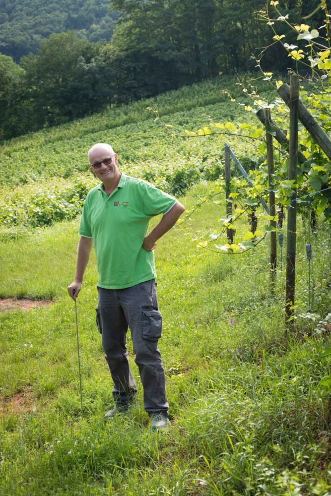 Maurice Barthelmé in the lush vineyards of Wettolsheim, Alsace. ©Kevin Day/Opening a Bottle