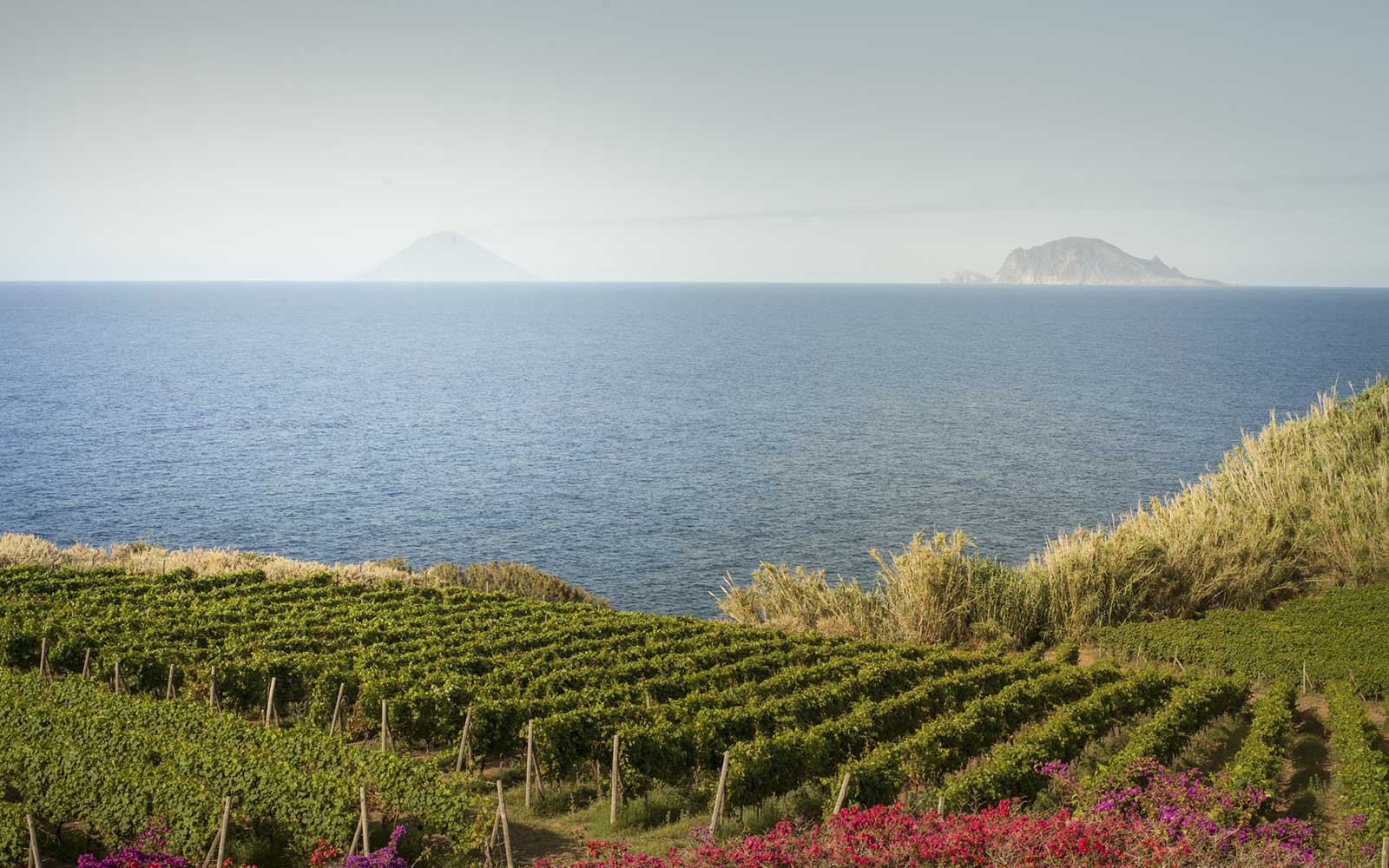 The Aeolian Islands looks a fairly decent paradise, wouldn't you say? ©Tenuta Capofaro