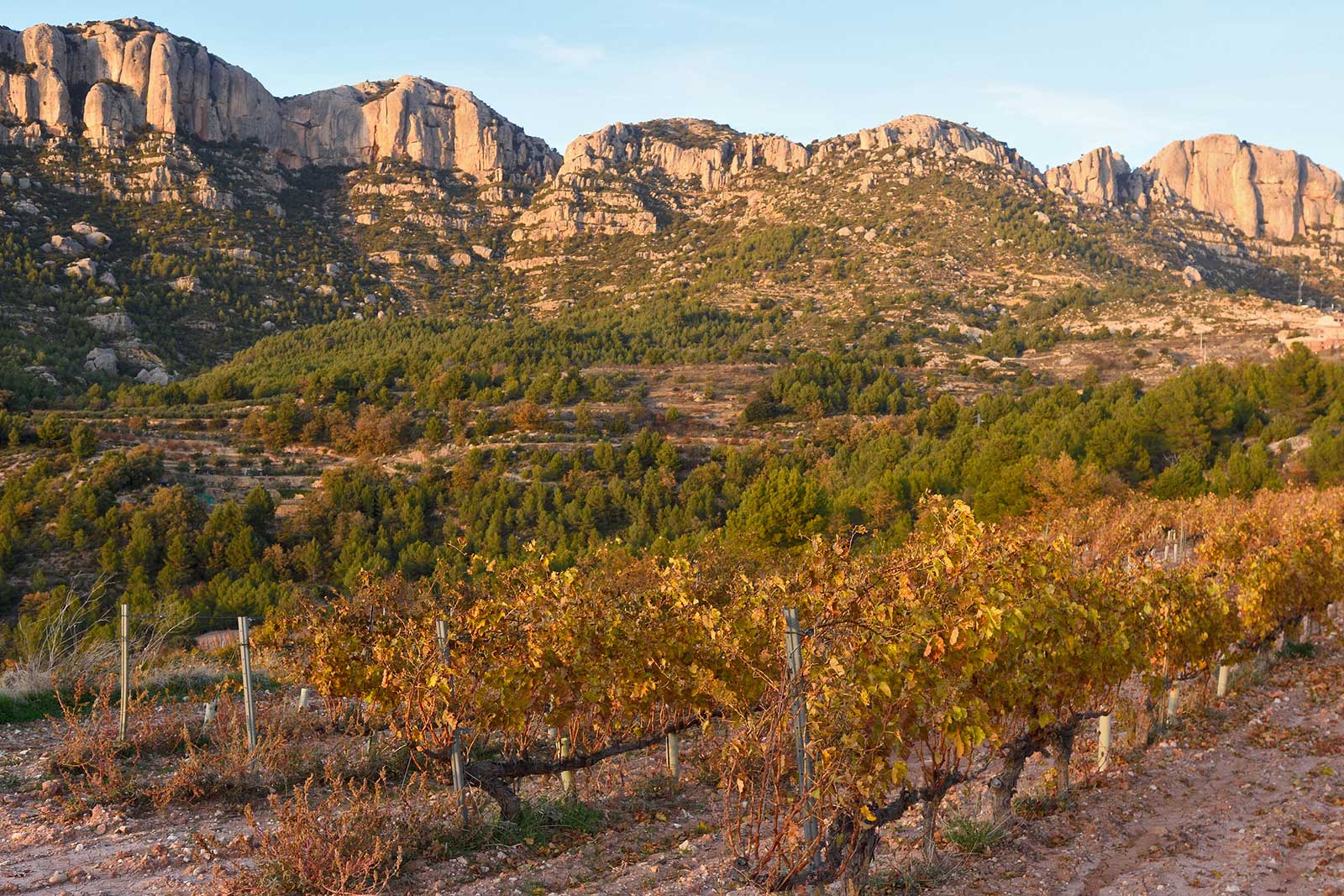 The rugged mountains of Montsant encircle Priorat DOQ. 