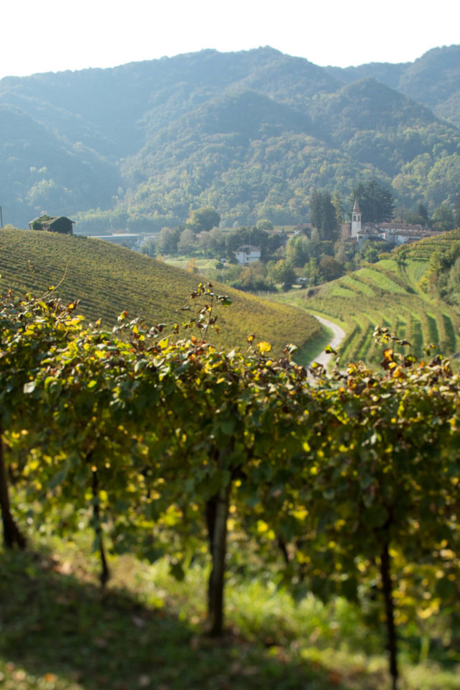 A view of the village of Campea from the Rive di Campea vineyard that Bisol owns. ©Kevin Day/Opening a Bottle