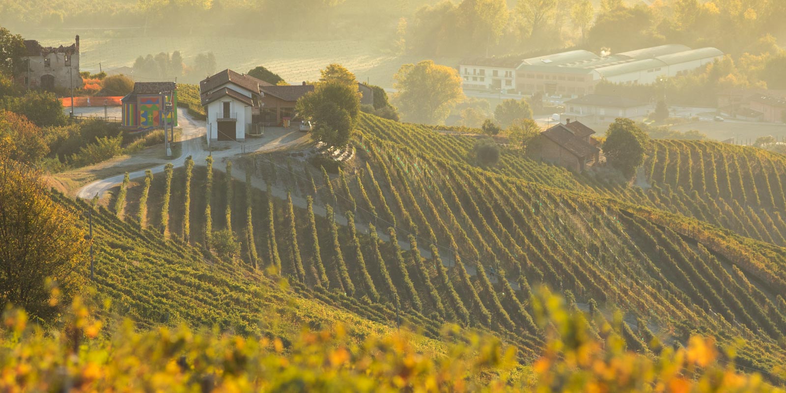 The Brunate vineyard near La Morra in the Barolo DOCG of Italy. ©Kevin Day/Opening a Bottle
