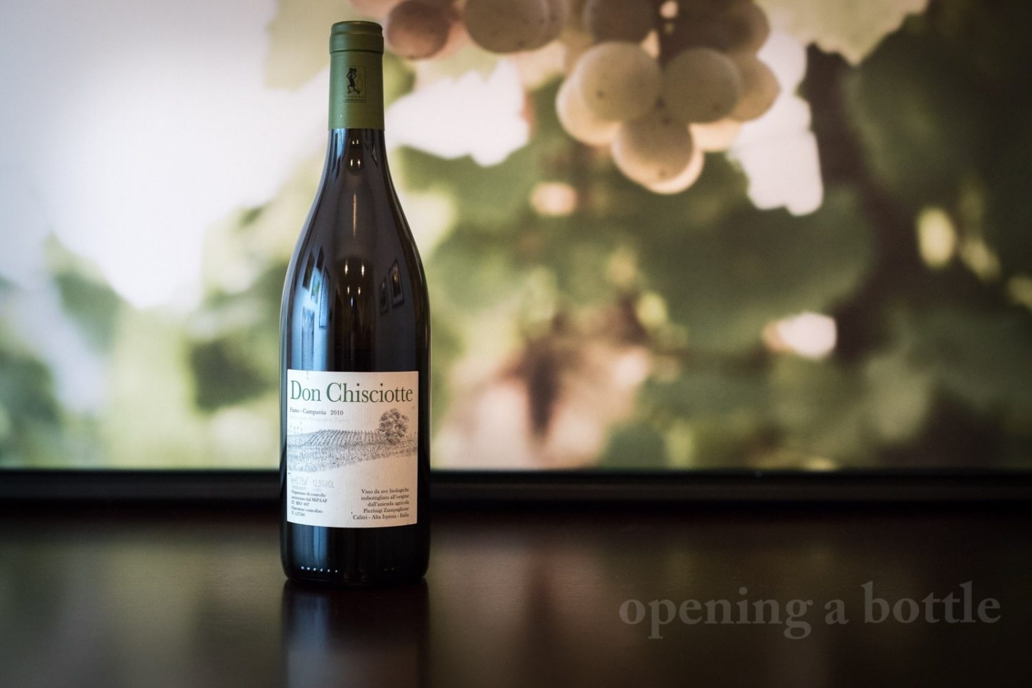 2010 Pierluigi Zampaglione "Don Chisciotte" Fiano Campagna ©Kevin Day/Opening a Bottle