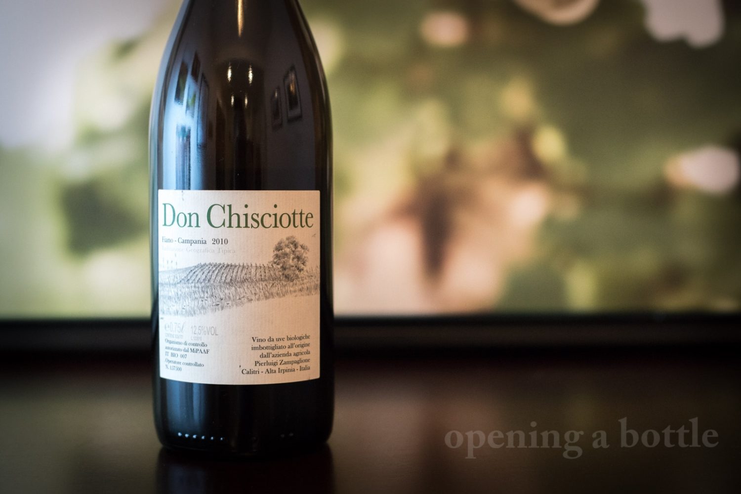 2010 Pierluigi Zampaglione "Don Chisciotte" Fiano Campagna ©Kevin Day/Opening a Bottle