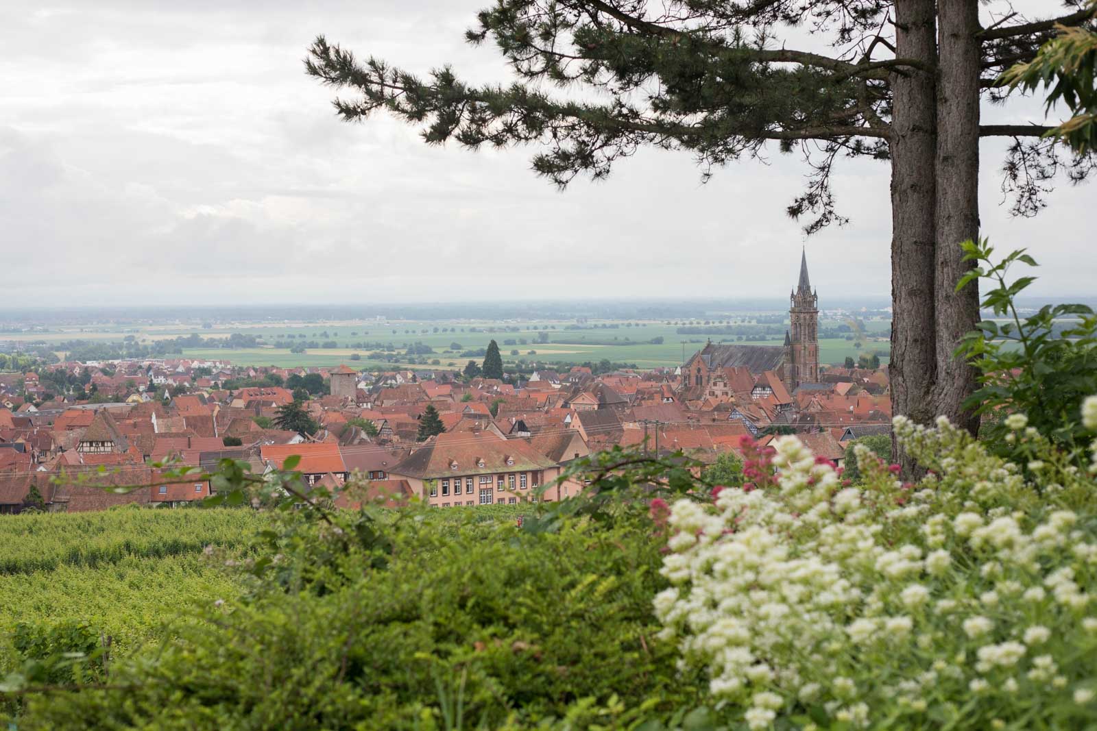 The beautiful village of Dambach-la-Ville in Alsace, France ©Kevin Day/Opening a Bottle