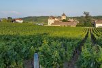 Château Pouilly-Fuissé in evening light. ©Frederick Wildman