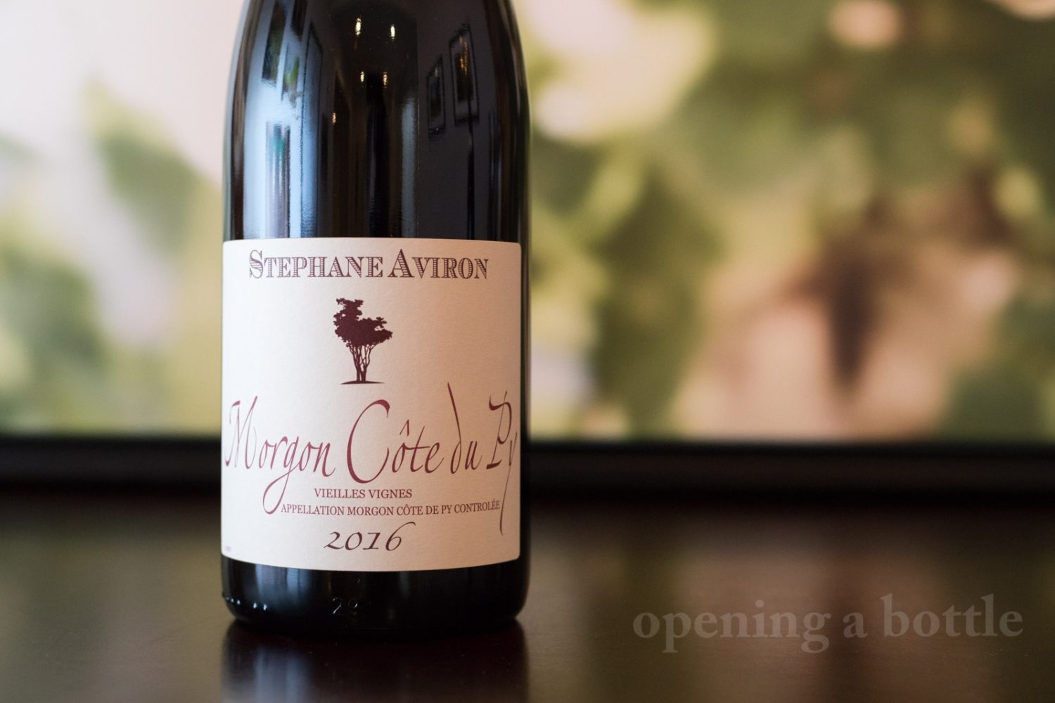 2016 Stéphane Aviron Morgon Côte du Py Vielles Vignes ©Kevin Day/Opening a Bottle