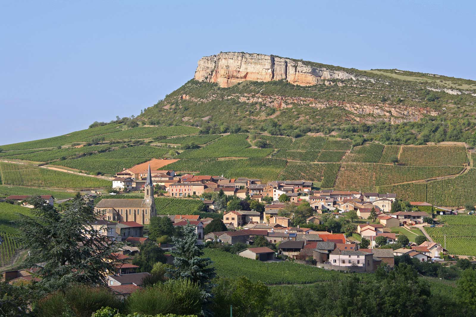 The scenic countryside of Pouilly-Fuissé. ©Frederick Wildman/Château Fuissé 