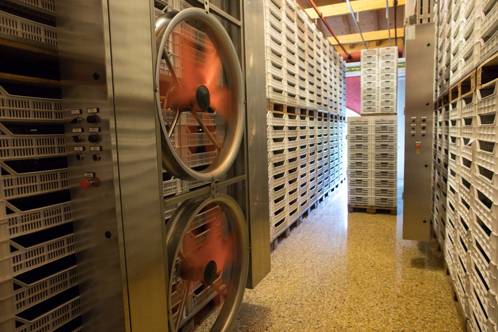 Robotic fans move through the library of drying grapes at Dal Forno Romano's modern fruttai. ©Kevin Day/Opening a Bottle