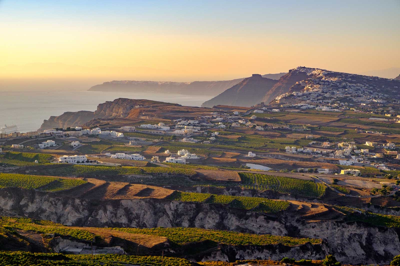 Vineyards of Santorini, Greece