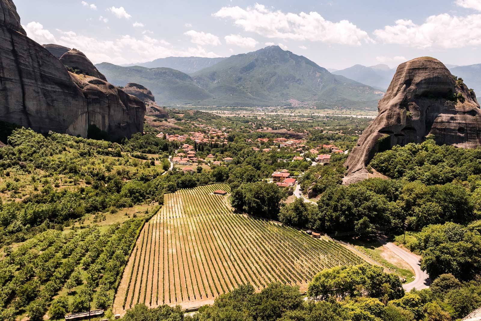 Vineyards near the UNESCO World Heritage site of Meteora. 