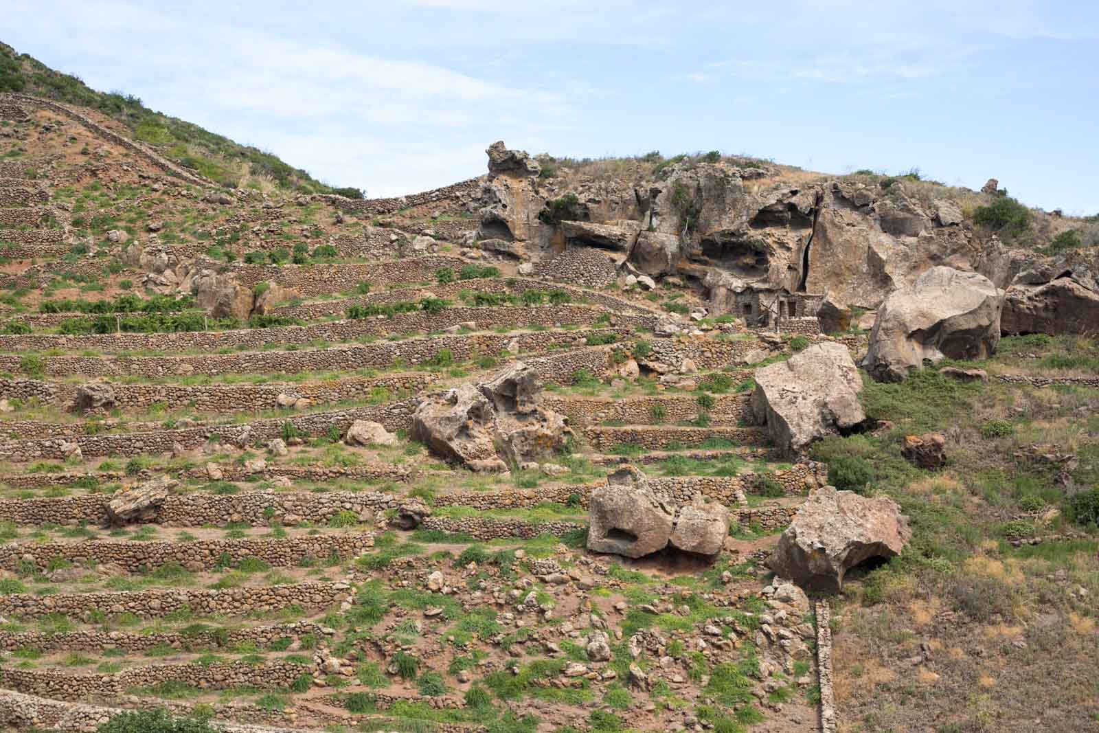 A broken landscape given order and purpose: the most compelling vineyard I visited was located on the western shoulder of Montagna Grande and included co-planting with caper plants. ©Kevin Day/Opening a Bottle