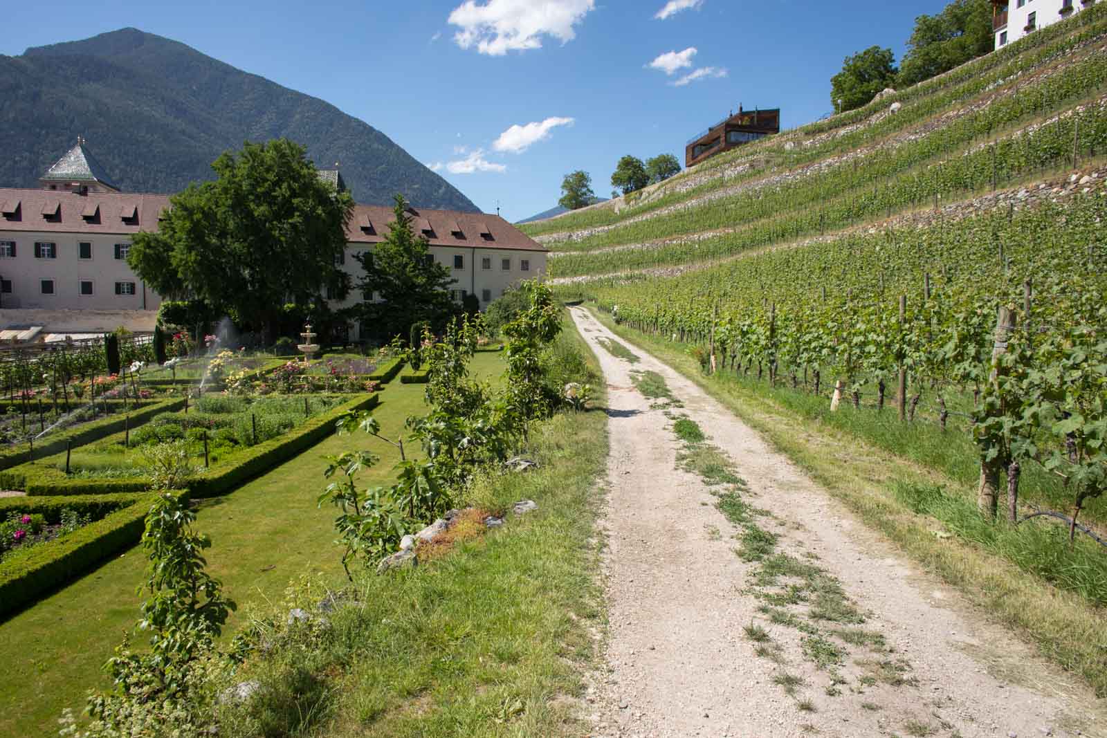 Terraced vineyards of Pinot Grigio, Sylvaner and Kerner surround the abbey complex. ©Kevin Day/Opening a Bottle