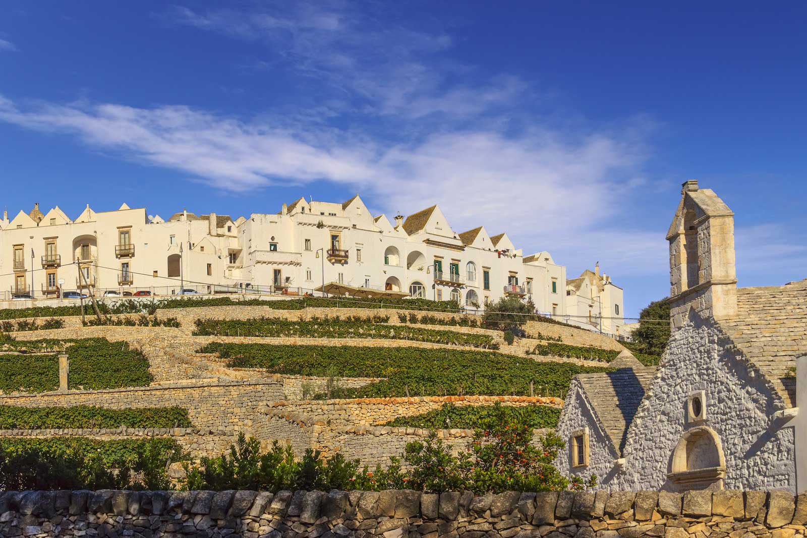 The town of Locorotondo surrounded by vineyards in the heart of Puglia.