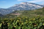 A view of the Val di Cembra, the high-elevation vineyards of Trentodoc in northern Italy. ©Kevin Day/Opening a Bottle