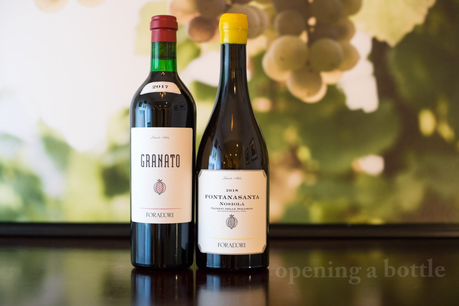 The wines of Foradori ©Kevin Day/Opening a Bottle