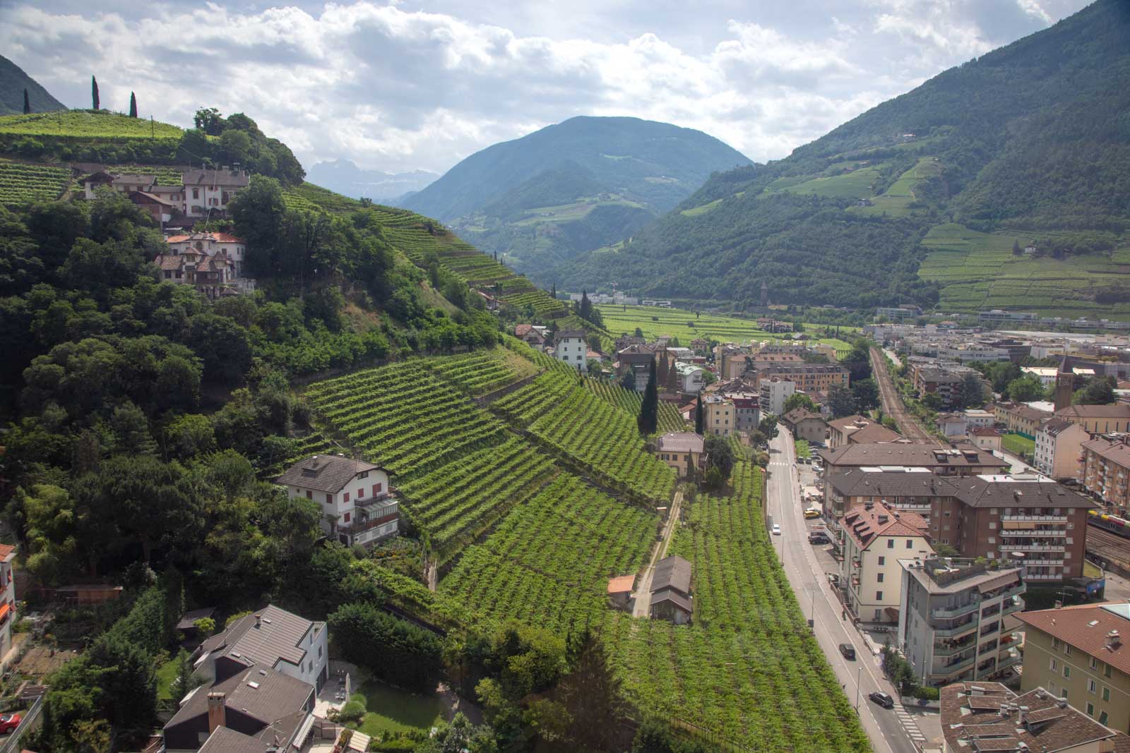 A view over the vineyards of Santa Maddalena above Bolzano, where Schiava is king. ©Kevin Day/Opening a Bottle