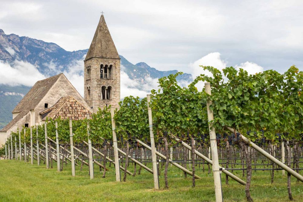 5 Sauvignon Blanc That Surprise | Wine Reviews | Opening a Bottle