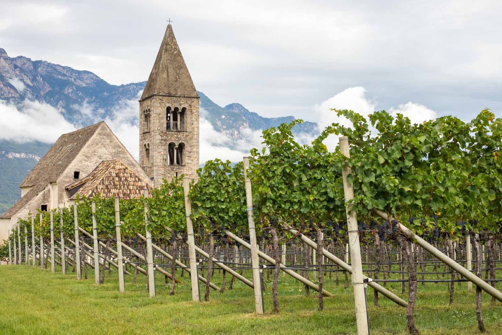 The Kirchlein St. Michael amidst the Pinot Nero vines of Mazzone, near Egna, Alto Adige, Italy. ©Kevin Day/Opening a Bottle