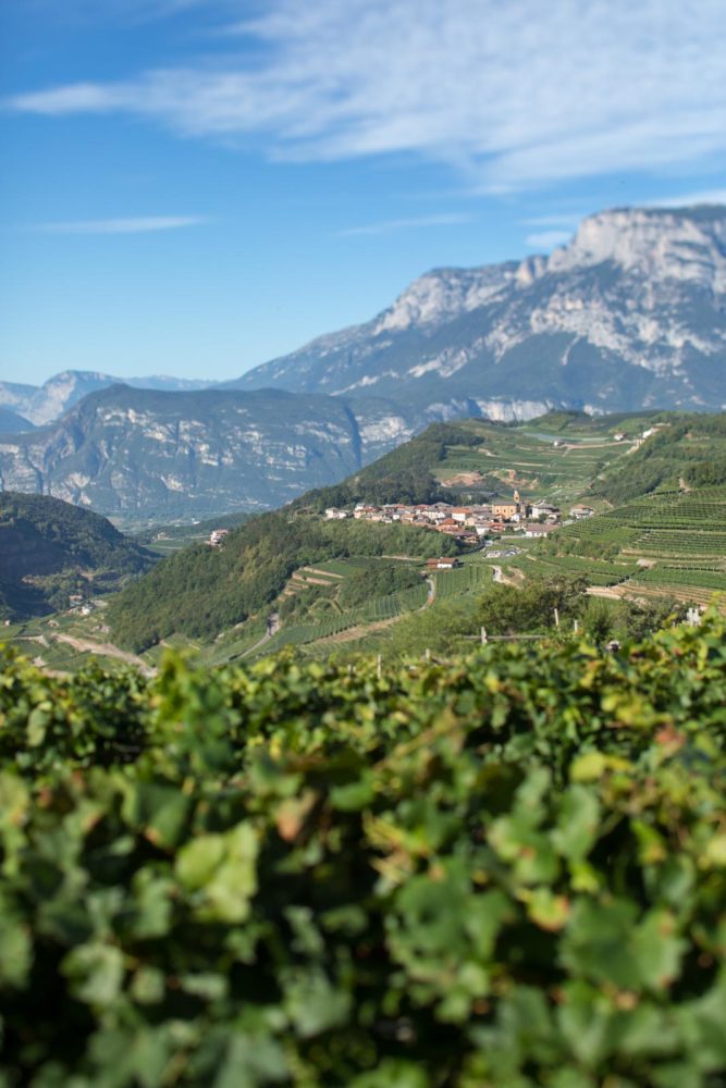 The village of Palù di Giovo in the Val di Cembra, where Cesarini Sforza sources many of its grapes. ©Kevin Day/Opening a Bottle