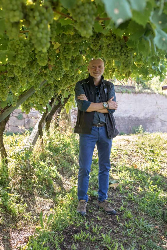 Cesarini Sforza's Agronomist Corrado Aldrighetti in the pergola-trained vines of the Val di Cembra. ©Kevin Day/Opening a Bottle