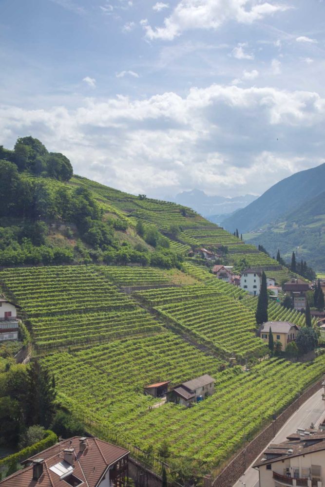 The great Santa Maddalena hill (or at least the lower 15% of it) outside Bolzano. This is Schiava's epicenter. ©Kevin Day/Opening a Bottle