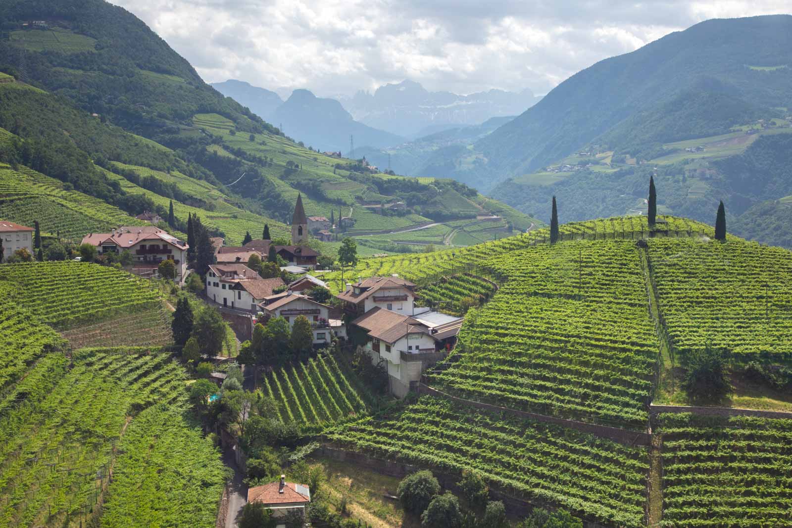 The vineyards of Santa Maddalena with the Dolomites in the distance, Alto Adige, Italy. ©Kevin Day/Opening a Bottle