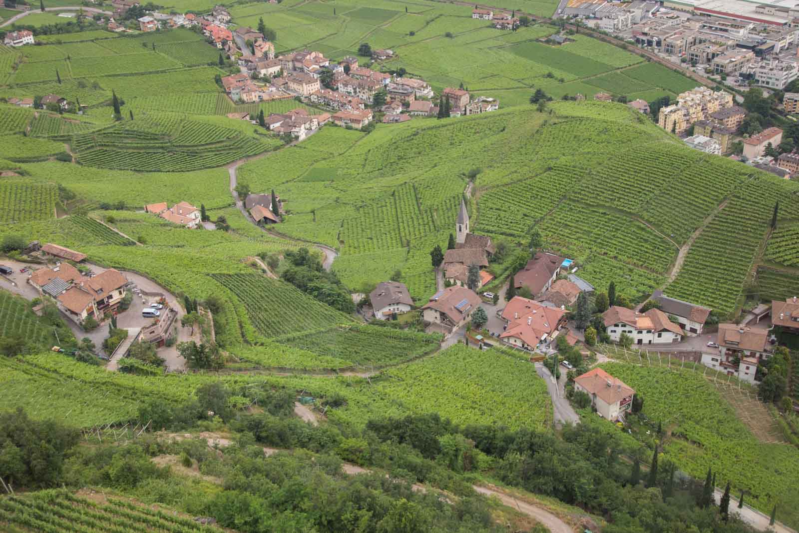 An overview from the Ritten lift of the Santa Maddalena vineyards near Bolzano. ©Kevin Day/Opening a Bottle