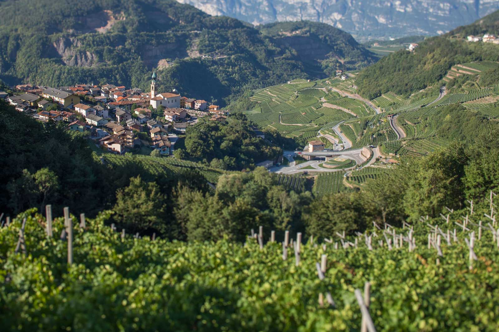 The village of Verla in the Val di Cembra, a spectacular valley decked in Chardonnay and Pinot Nero vines outside Trento. ©Kevin Day/Opening a Bottle