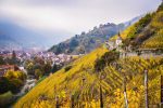 The Grand Cru Rangen de Thann in Alsace. ©Adobe Stock Photo