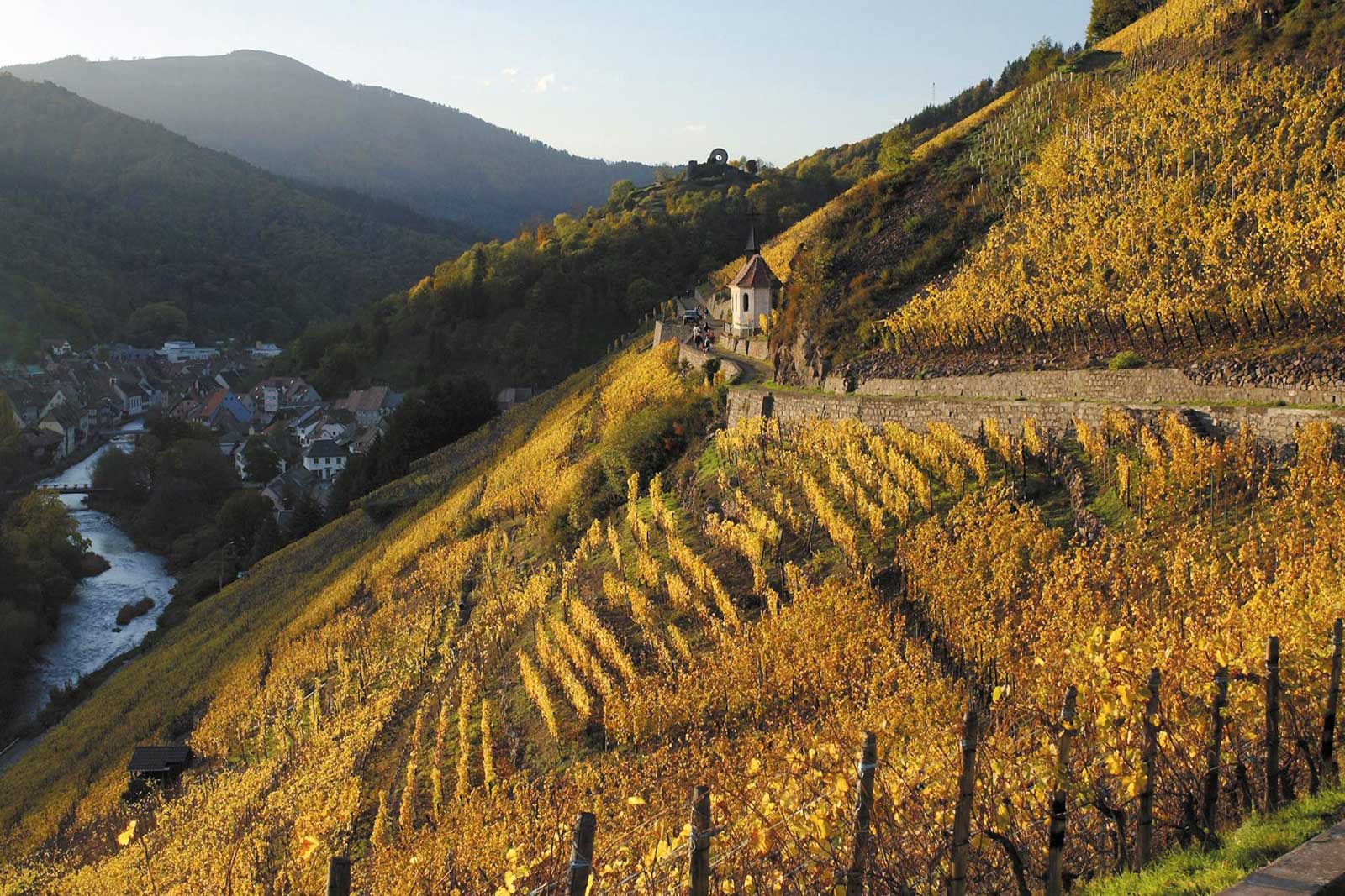 A view across the Clos Saint Urbain to the renowned chapel in late autumn — almost half of the Grand Cru Rangen de Thann. Note the Thur River flowing in the shadows. ©Frantisek Zvardon – Conseil Vins Alsace