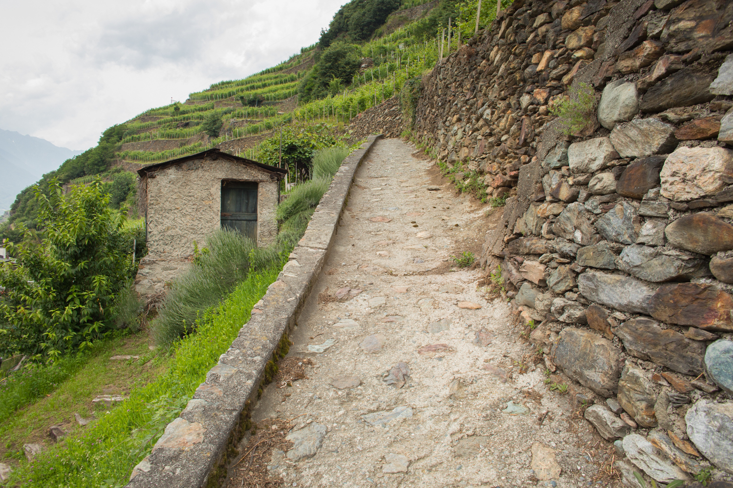 The Road Into Sassella of Valtellina ©Kevin Day/Opening a Bottle