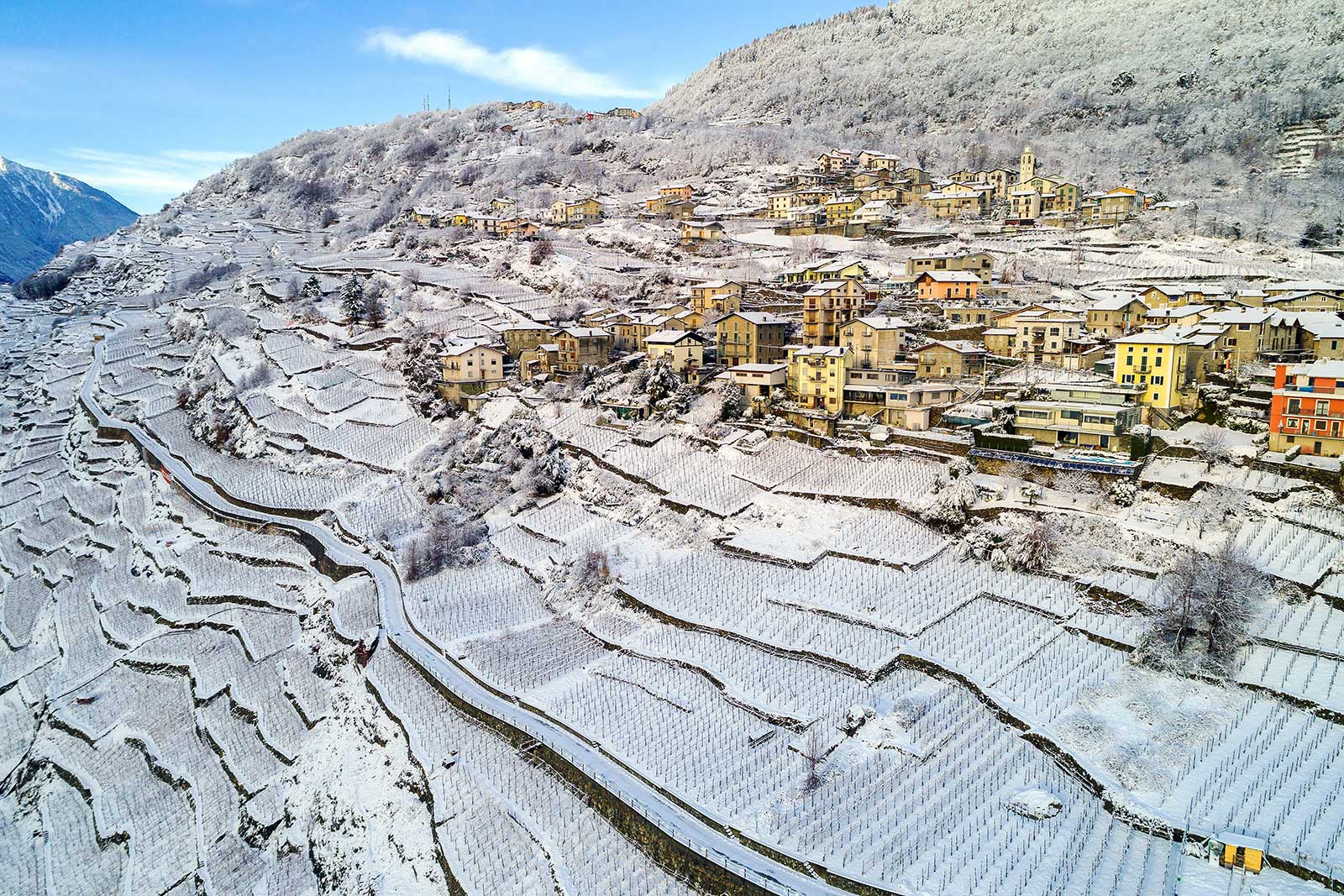 The village of Sant'Anna a Sondrio (uphill) and Bellavista and its terraced vineyards in winter. ARPEPE's famous Rocce Rosse vineyard can be seen in lower left.