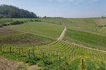 A view over the Colli Tortonesi ©Portovino Italiano