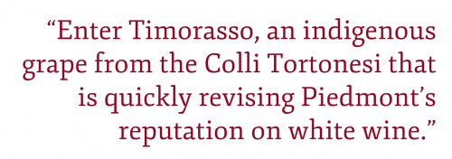 Pull quote: "Enter Timorasso, an indigenous grape from the Colli Tortonesi that is quickly revising Piedmont’s reputation on white wine."