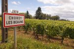 Welcome to Chorey-les-Beaune, France, home to affordable red wines worth seeking out.